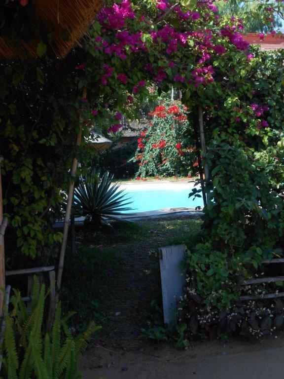 Cape Maclear Cape Mac Lodge المظهر الخارجي الصورة